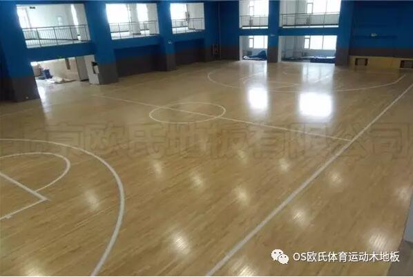 山西陽泉市城區行政審批服務中心籃球館木地板案例圖3