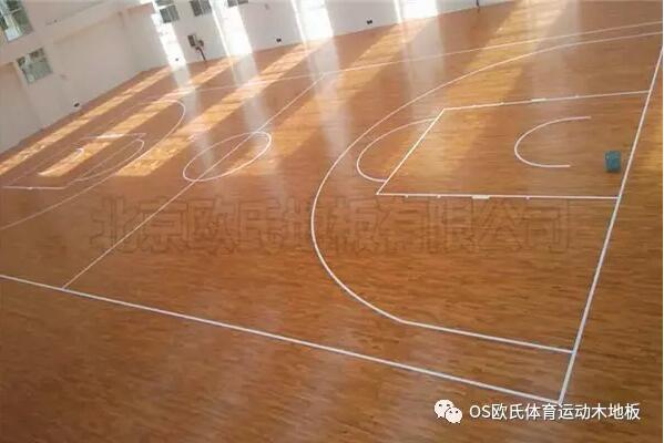 云南富寧縣高原體能訓練館成功案例-2