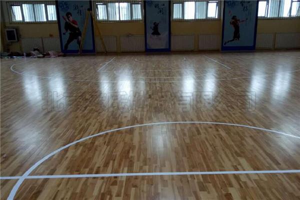 天津高新區公安消防支隊海泰大道中隊成功案例