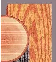  弦切與呈現出來的紋理效果