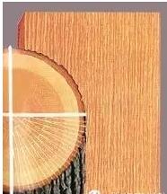 徑切與呈現出來的紋理效果