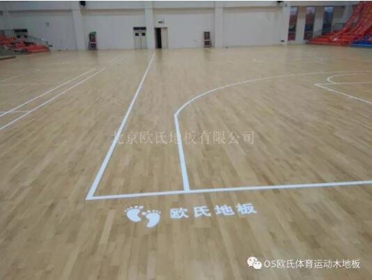 臨沂市理工學校體育館木地板成功案例