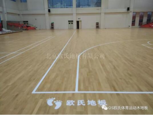 臨沂市理工學校體育館木地板成功案例