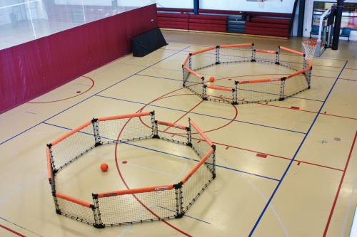 國內體育運動木地板為什么要選歐氏？