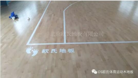 天津長榮科技集團體育館木地板成功案例