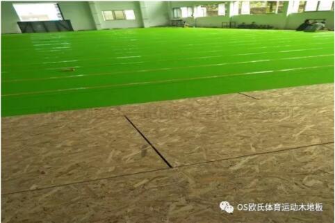 廣東YBDL江門 HOOP PARK籃球公園成功案例