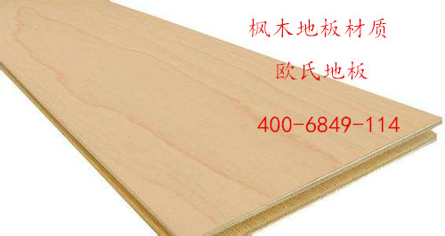 楓木運動木地板