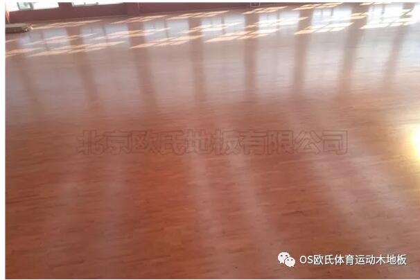 江蘇常州溧陽市南渡鎮體育館運動木地板案例