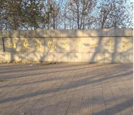 山東德州臨邑**中學體育館木地板成功案例