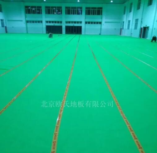 山東德州臨邑**中學體育館木地板成功案例