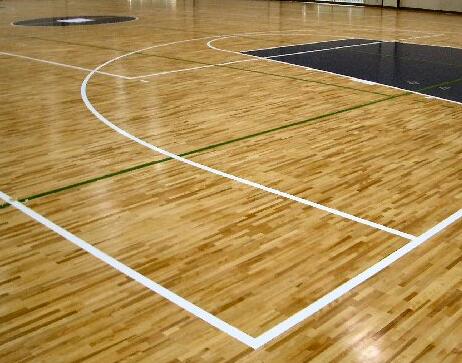 體育館和武術館的維護和保養