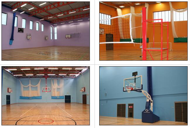 體育館的墻壁裝飾成什么顏色好？