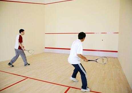  建個(gè)壁球館的價(jià)格是多少？