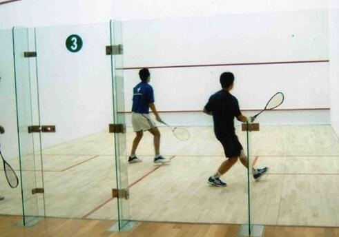  建個(gè)壁球館的價(jià)格是多少？